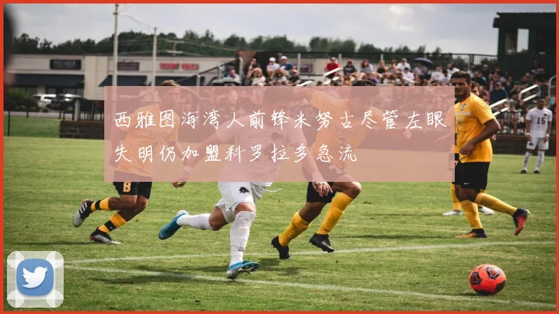 西雅图海湾人前锋米努古尽管左眼失明仍加盟科罗拉多急流